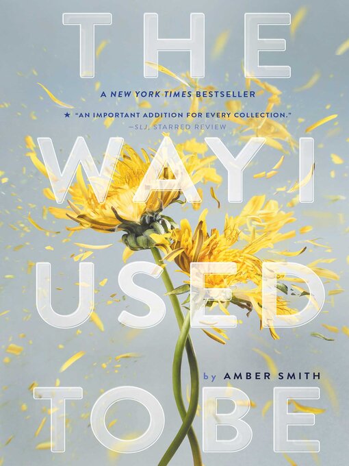 Title details for The Way I Used to Be by Amber Smith - Wait list